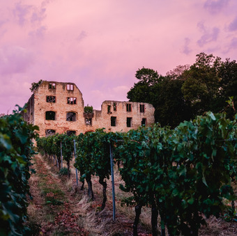 wein- und parkhotel nierstein kultur