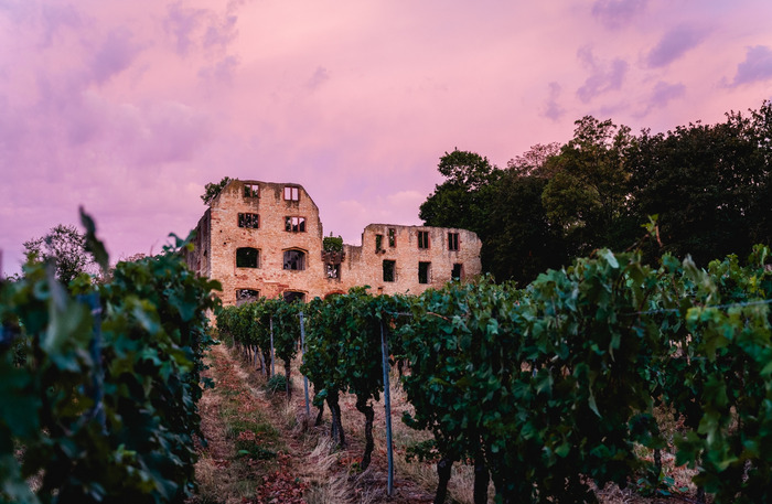 wein- und parkhotel nierstein kultur