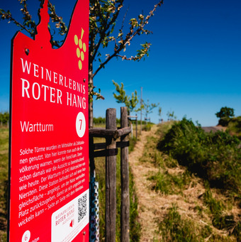 wein- und parkhotel nierstein  wandern &  radfahren