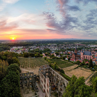 Wein- und Parkhotel Nierstein unsere Urlaubsangebote in Rheinhessen