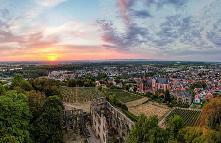 Wein- und Parkhotel Nierstein unsere Urlaubsangebote in Rheinhessen