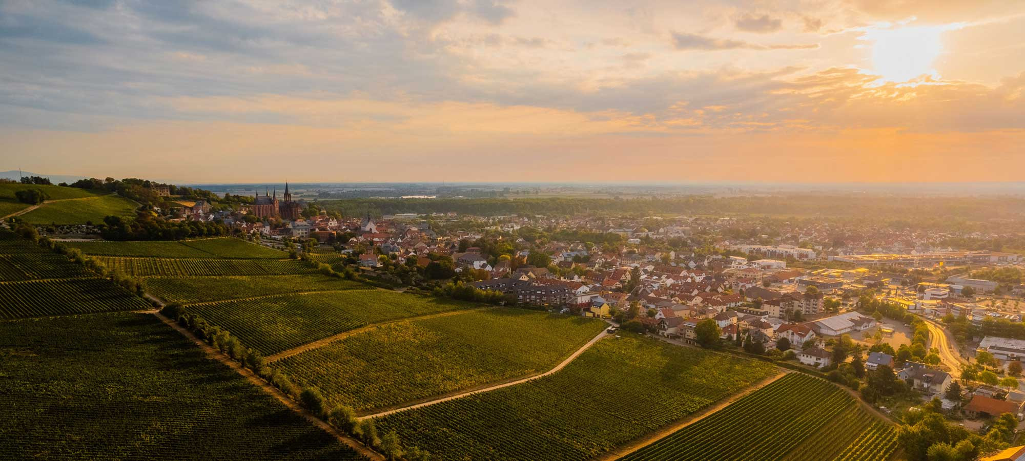 Header Wein und Rheinhessen