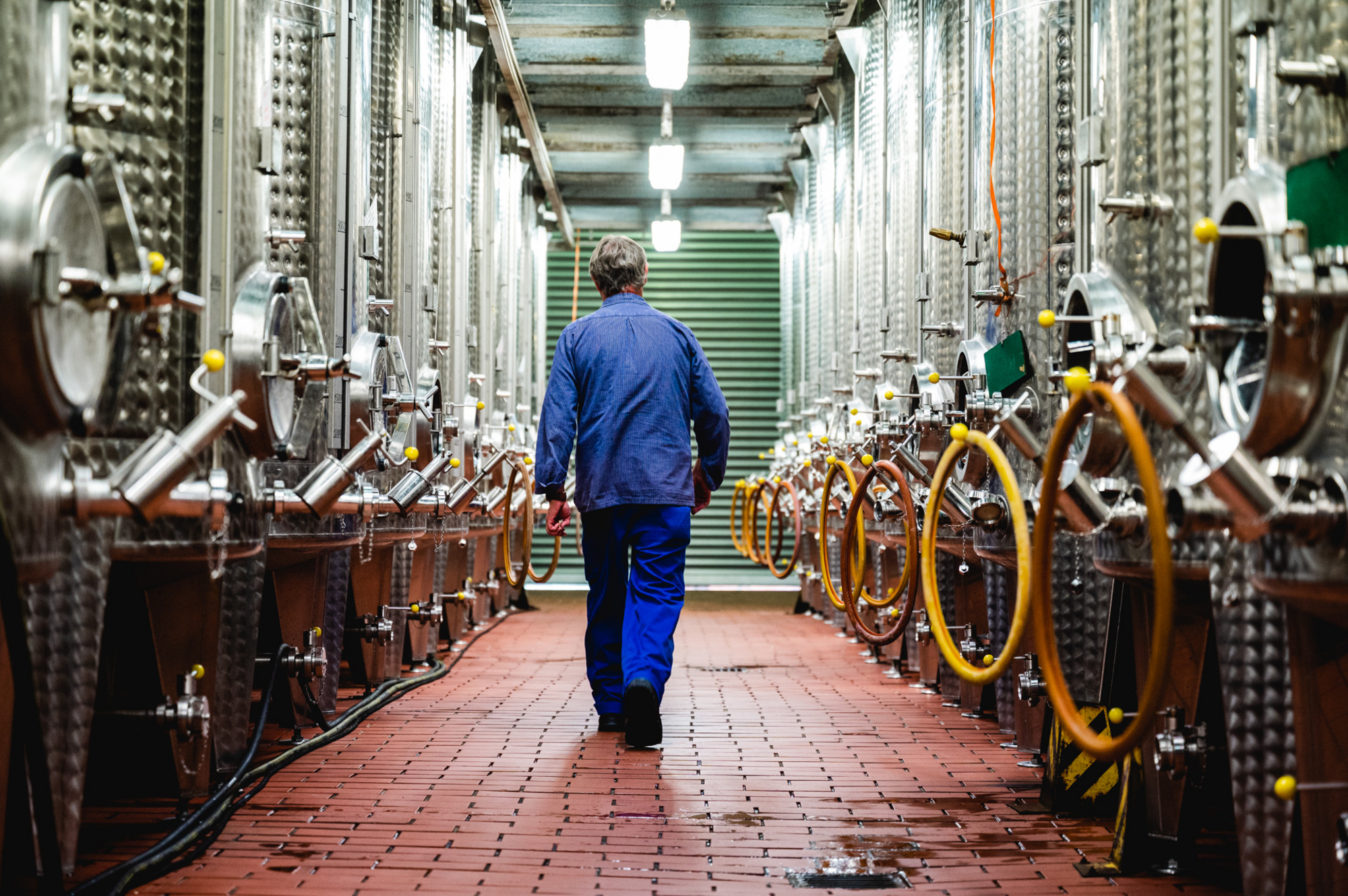 wein und sektkellerei jakob gerhardt keller dexheim